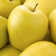 سیب زرد فرانسه 