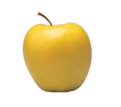 سیب زرد فرانسه